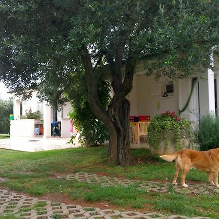 Apartment Free Parking Big Garden Peroj Exterior foto